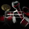 Живая среда