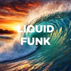 Logo DFM Liquid Funk