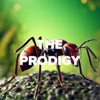 Logo DFM The Prodigy
