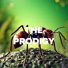 DFM The Prodigy