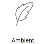 Record Ambient