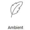 Record Ambient