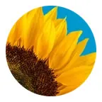 Київстар Made in Ukraine