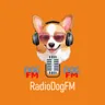 Dog FM